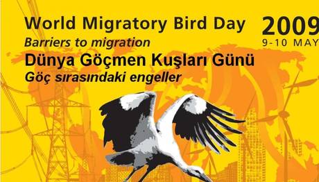 9-10 Mayıs Dünya Göçmen Kuşlar Günü