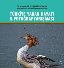 Örnek haber adı gelecek.