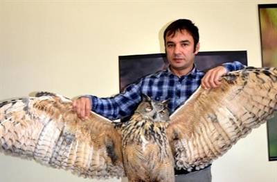 Örnek haber adı gelecek.