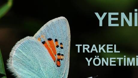 TRAKEL-Yeni Yönetim
