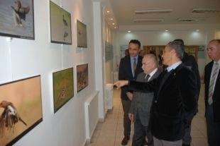 Zonguldak`ta 299 Kuş Türü Yaşıyor