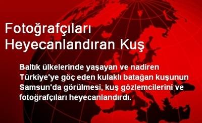 Fotoğrafçıları Heyecanlandıran Kuş