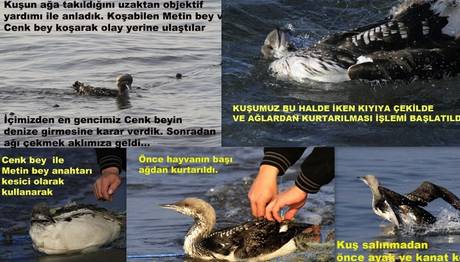 Örnek haber adı gelecek.