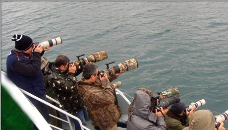 Kuş Fotoğrafçılığında Ekipman Kombinasyonları