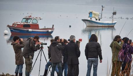 Kosks 2014 Nasıl Geçiyor?