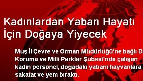 Örnek haber adı gelecek.