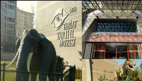 MTA TABİAT TARİHİ MÜZESİ