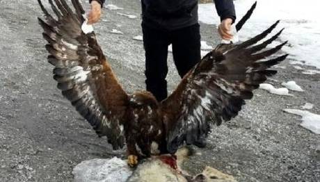 Örnek haber adı gelecek.