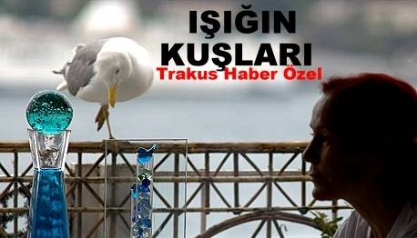Işık'ın kuşları
