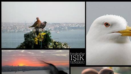 Örnek haber adı gelecek.
