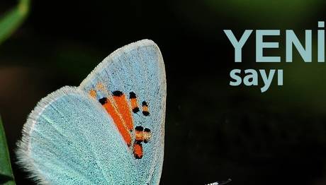 Mart2014 Trakel Bülteni Yayında