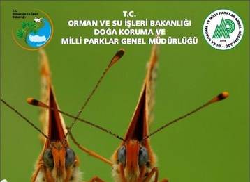 Örnek haber adı gelecek.