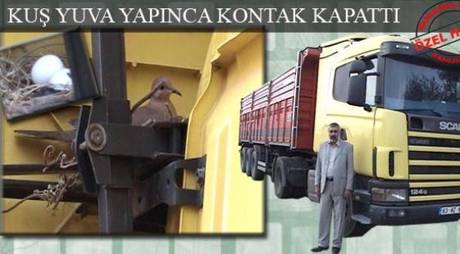 Örnek haber adı gelecek.