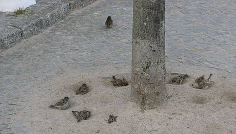 Örnek haber adı gelecek.