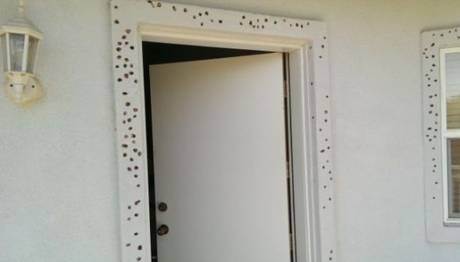 Örnek haber adı gelecek.