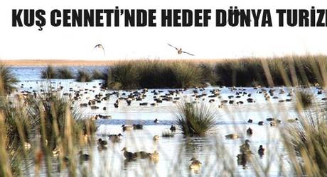 Örnek haber adı gelecek.