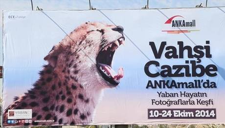 Örnek haber adı gelecek.