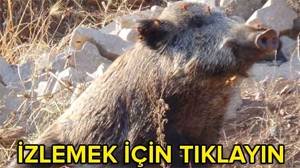 Örnek haber adı gelecek.
