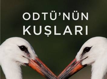 Örnek haber adı gelecek.