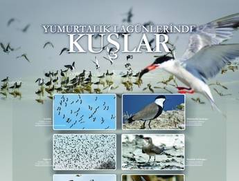 TRAKUS'a teşekkür