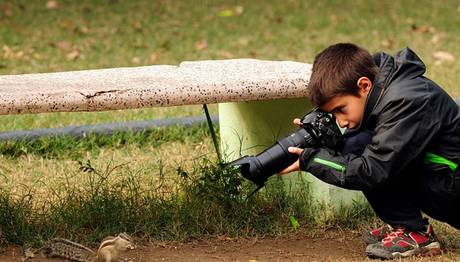 9 Yaşındaki İspanyol Çocuk Yılın Vahşi Yaşam Fotoğrafçı Oldu