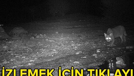 Örnek haber adı gelecek.