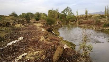 Gediz Nehri Katliamı