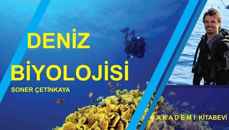 Örnek haber adı gelecek.