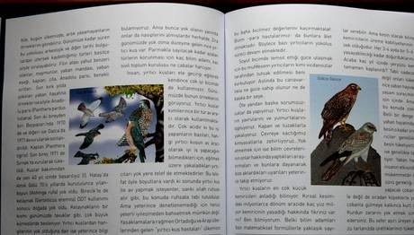 Örnek haber adı gelecek.