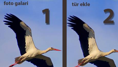 Örnek haber adı gelecek.