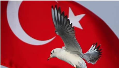 Örnek haber adı gelecek.