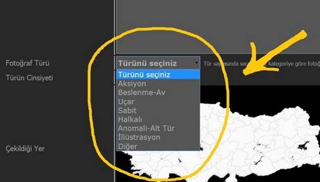 Örnek haber adı gelecek.