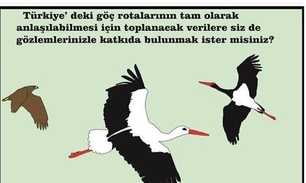 Örnek haber adı gelecek.