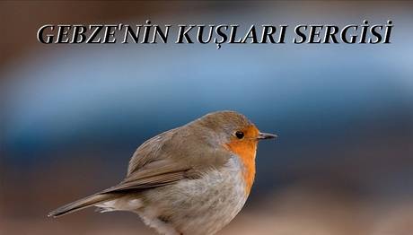 Örnek haber adı gelecek.