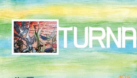 Anadolu turnaları hakkında