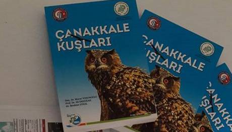 Örnek haber adı gelecek.