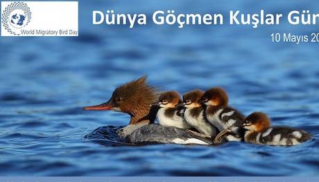 Örnek haber adı gelecek.