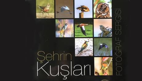 Şehrin Kuşları Sergisi