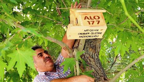 Doğal yaşama katkı için kuşlara ahşap yuva yapıyorlar