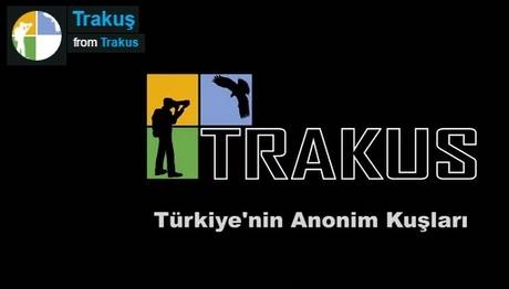 Trakus 2016 Videomuz Yayında