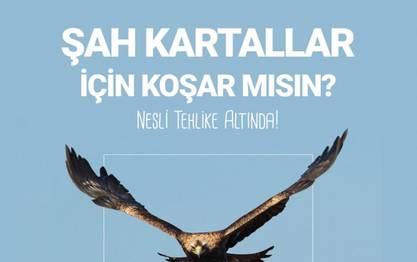 Uçmam için Koş!