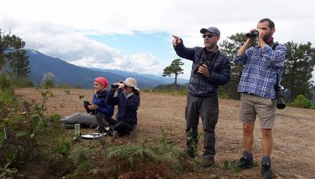Artvin Yırtıcı Sayımı