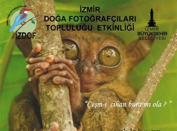 Örnek haber adı gelecek.