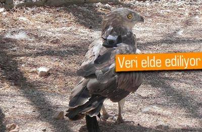 Örnek haber adı gelecek.