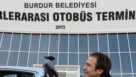 Yaralı Karga Tedavi İçin 650 Kilometreden Getirildi