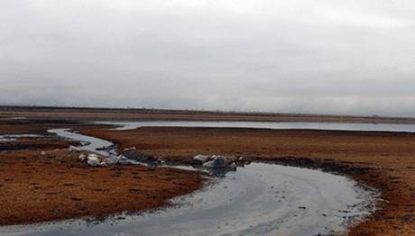 Kuş cenneti Akkaya Barajı kuruyor: 220 kuş türü risk altında!