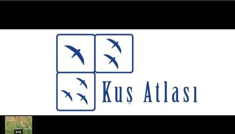 Türkiye Üreyen Kuş Atlası Ekibinden Mukallit Sesleri