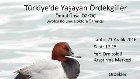 Türkiye'de Yaşayan Ördekgiller