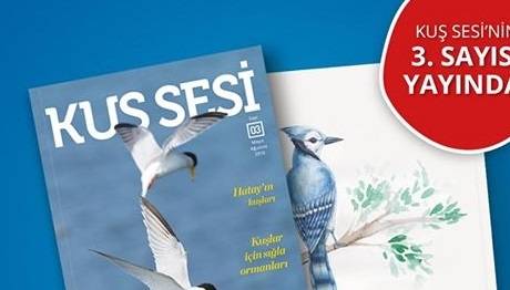 Kuş Sesi'nin 3. Sayısı Yayında