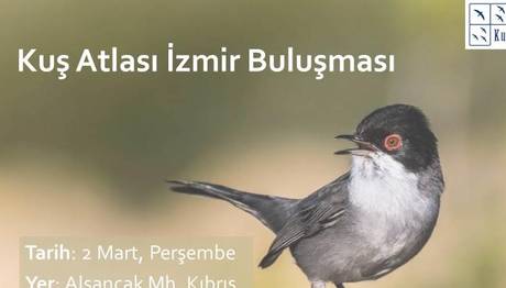 Kuş Atlası Fotoğrafçı Gönüllülerini Arıyor!